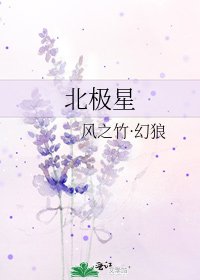 北极星