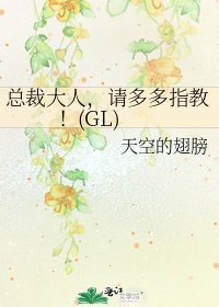 总裁大人,请多多指教!(GL)