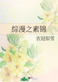 综漫之素锦