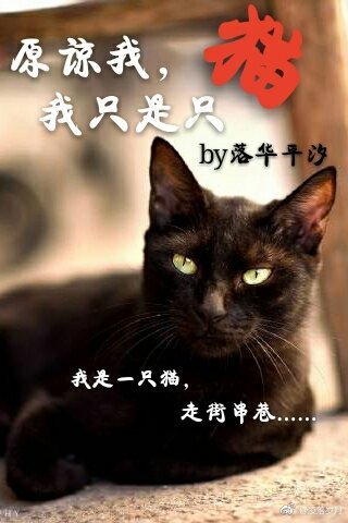 原谅我,我只是只猫