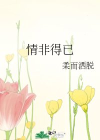 《情非得已》