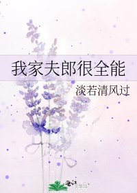 我家夫郎很全能