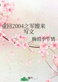 重回2004之军嫂来写文