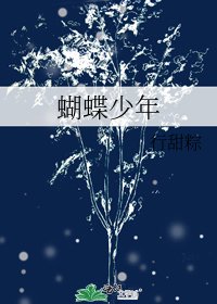 蝴蝶少年