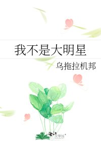 我不是大明星