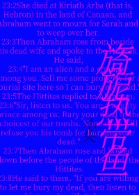 旖旎熱帶魚