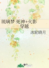 琉璃梦 死神+火影 穿越