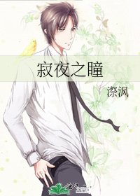 寂夜之瞳