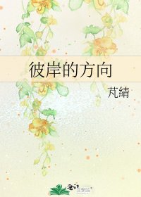 《彼岸的方向》