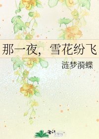 那一夜,雪花紛飛