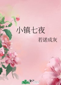 《小镇七夜》