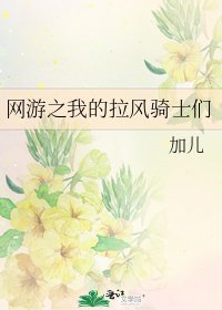 《网游之我的拉风骑士们》
