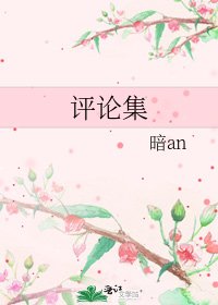 评论集