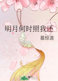 明月何時照我還