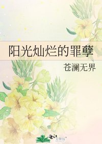 阳光灿烂的罪孽
