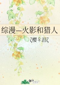 综漫—火影和猎人