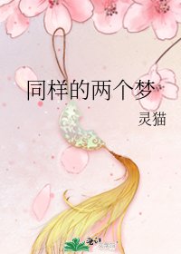 同样的两个梦
