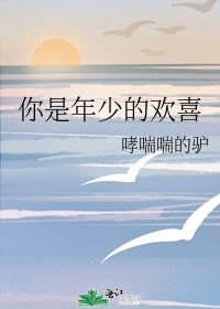 你是年少的欢喜
