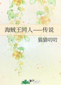 《海贼王同人——传说》