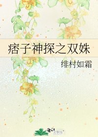 痞子神探之双姝