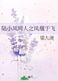 陆小凤同人之凤凰于飞