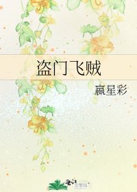 盜門飛賊