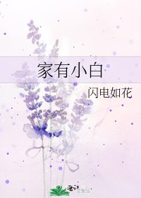 家有小白