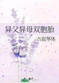 异父异母双胞胎