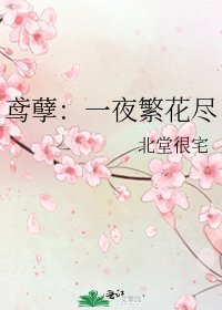 《鸢孽:一夜繁花尽》