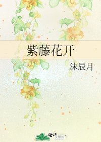 紫藤花开
