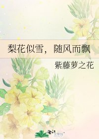 梨花似雪,隨風而飄
