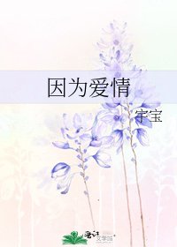 因为爱情