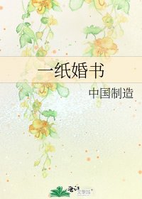 一纸婚书