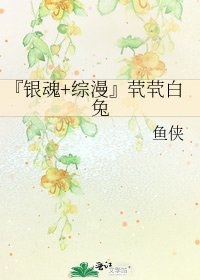 『银魂+综漫』茕茕白兔