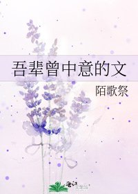 吾輩曾中意的文
