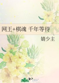 网王+棋魂 千年等待