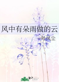 《风中有朵雨做的云》