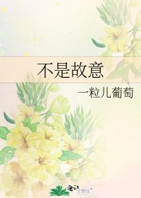 不是故意