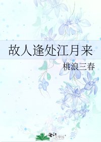 故人逢處江月來