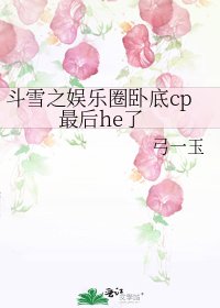 《斗雪之娱乐圈卧底cp最后he了》