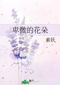 卑微的花朵