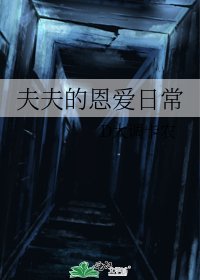 夫夫的恩爱日常