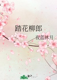 踏花柳郎