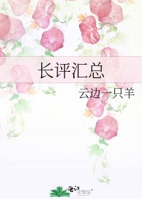 长评汇总