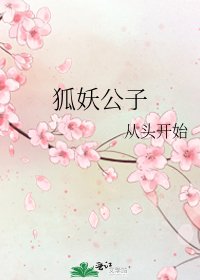 狐妖公子