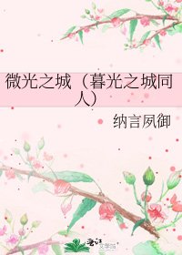 微光之城(暮光之城同人)