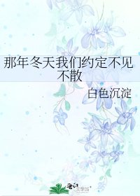 那年冬天我们约定不见不散