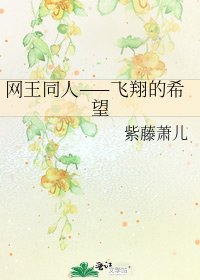 网王同人——飞翔的希望
