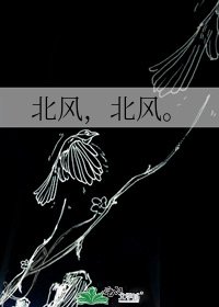 北风,北风。