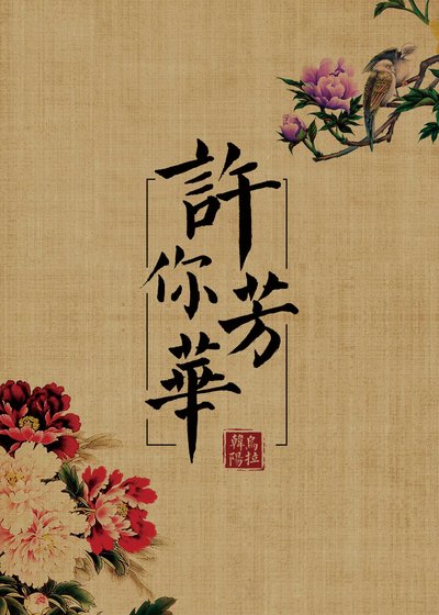 《许你芳华》